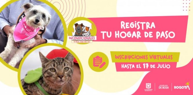Registra Tu Hogar de Paso - reconocer, fortalecer y apoyar la labor de las personas que se dedican al rescate y cuidado de animales domésticos. - verificar que los animales domésticos rescatados y albergados en hogares de paso estén en condiciones de bienestar físico y emocional. - respaldar y potenciar el servicio que les prestan a animales vulnerables y a la sociedad.