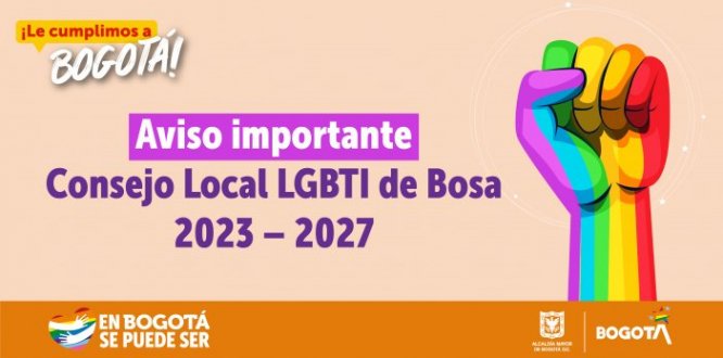 Avance del proceso eleccionario Consejo Local LGBTI