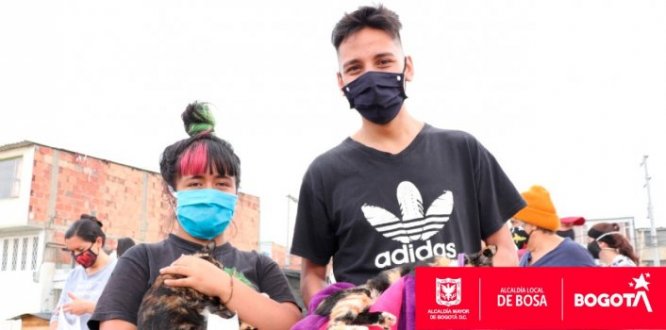 En jornada de esterilización rescatan en Bosa 9 cachorros y a su madre 