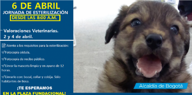 EL 6 DE ABRIL SE REALIZARÁ LA PRIMERA JORNADA DE ESTERILIZACIÓN