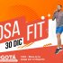 La Alcaldía Local pensando en el bienestar de las familias bosunas y en la creación de espacios de sano esparcimiento, llevará a cabo el “Bosa Fit” para realizar un cierre a las actividades de los puntos de actividad física, por el año 2022.