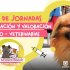 Jornadas gratuitas de esterilización en Bosa